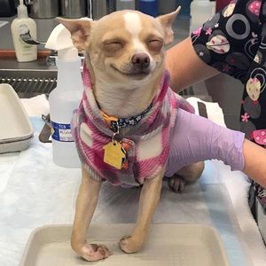 Meet your Posher, Leslie